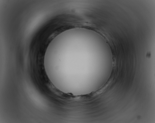 X0000101950430200807171137