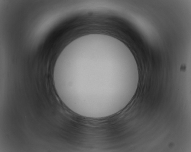 X0000101950431200807171137