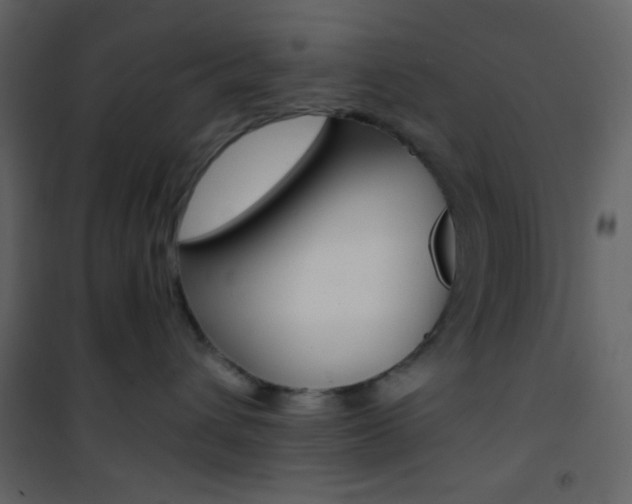 X0000101950432200807171137