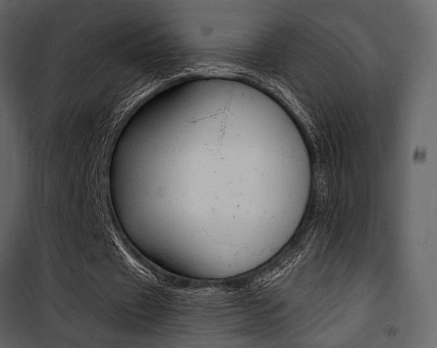 X0000101950433200807171136
