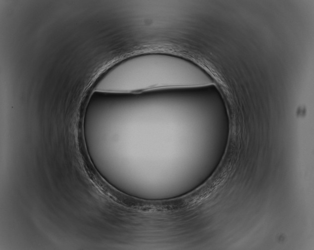 X0000101950434200807171136