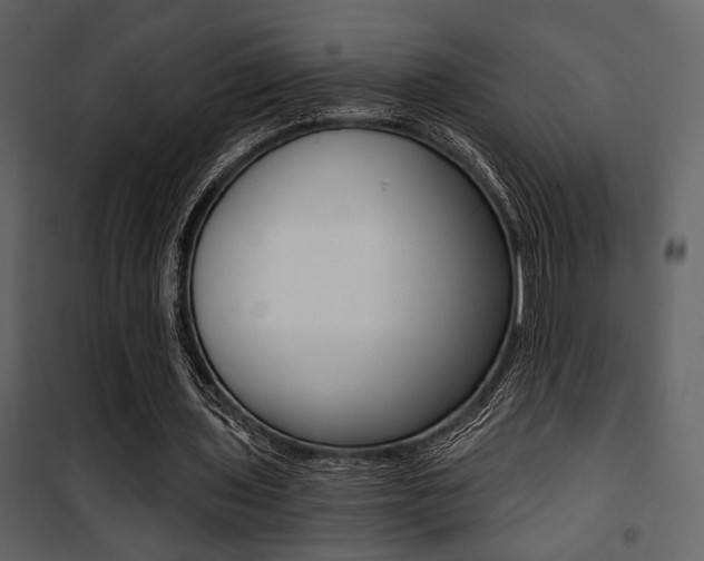 X0000101950435200807171136