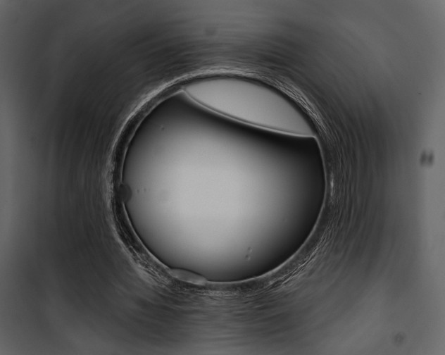 X0000101950436200807171136