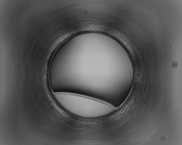X0000101950437200807171136