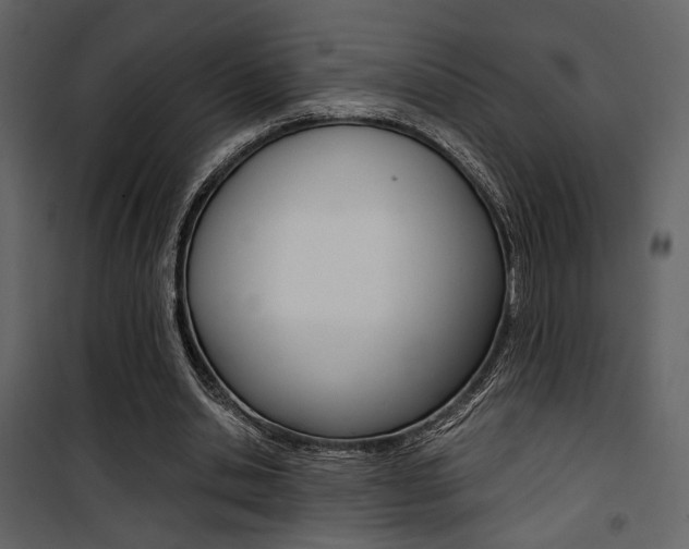X0000101950438200807171136