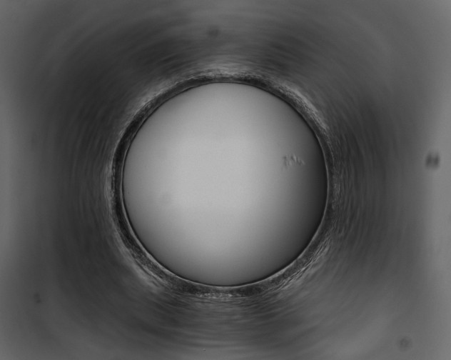 X0000101950439200807171136
