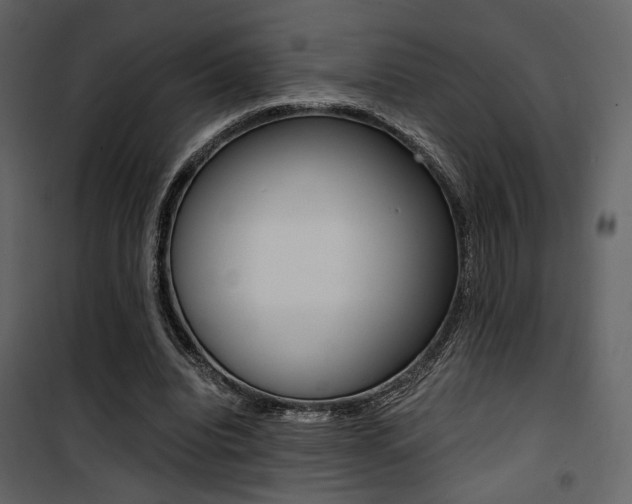 X0000101950440200807171137