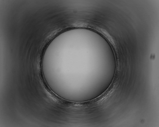 X0000101950441200807171137