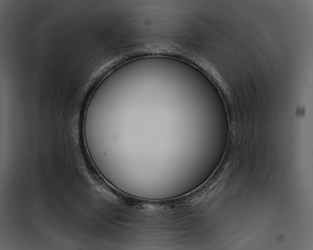 X0000101950442200807171137