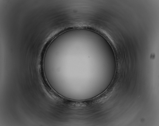 X0000101950443200807171137