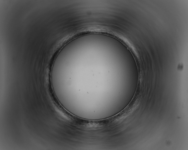 X0000101950445200807171137