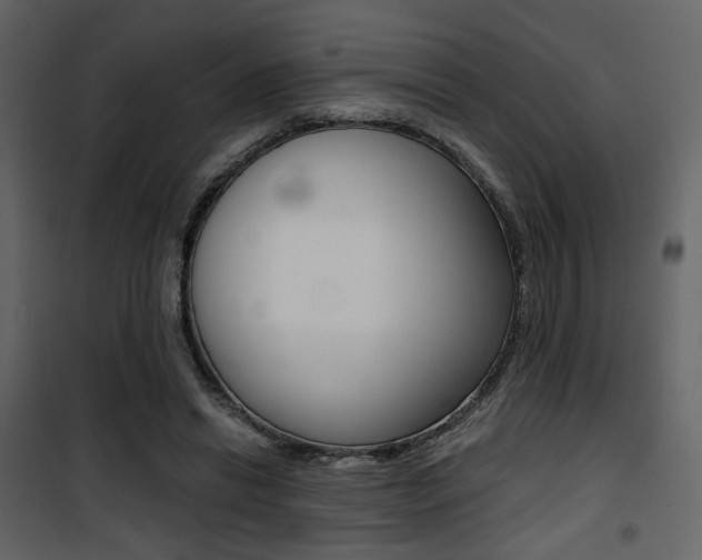 X0000101950446200807171137