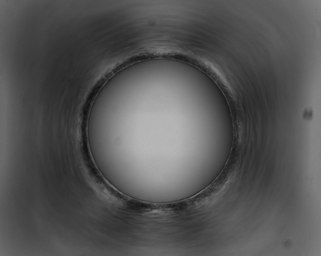 X0000101950447200807171137