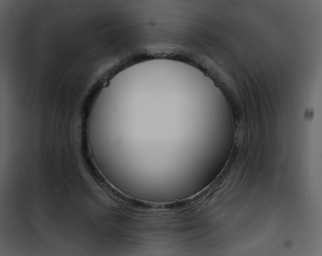 X0000101950448200807171137