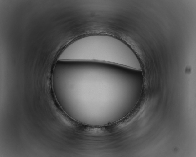 X0000101950449200807171137