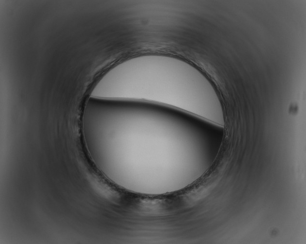 X0000101950450200807171137