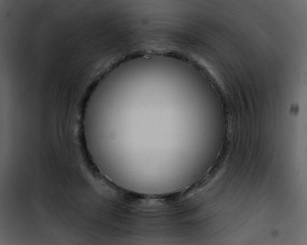 X0000101950451200807171137