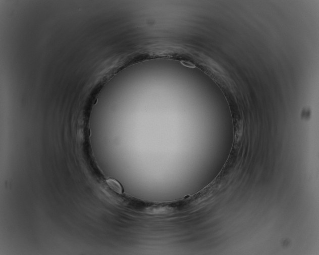 X0000101950452200807171137