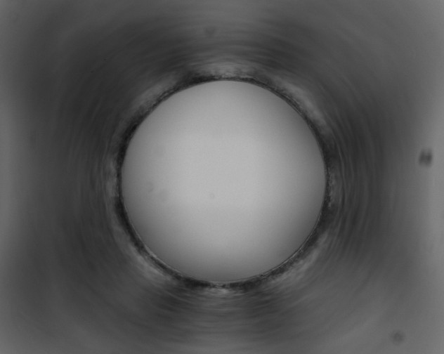 X0000101950453200807171137