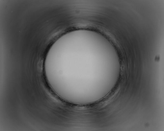 X0000101950454200807171137
