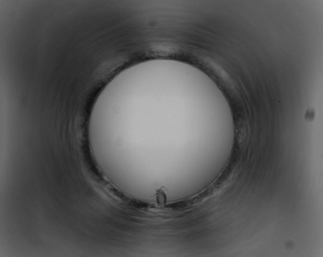 X0000101950455200807171137