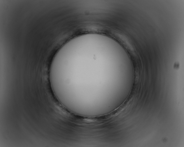 X0000101950457200807171137