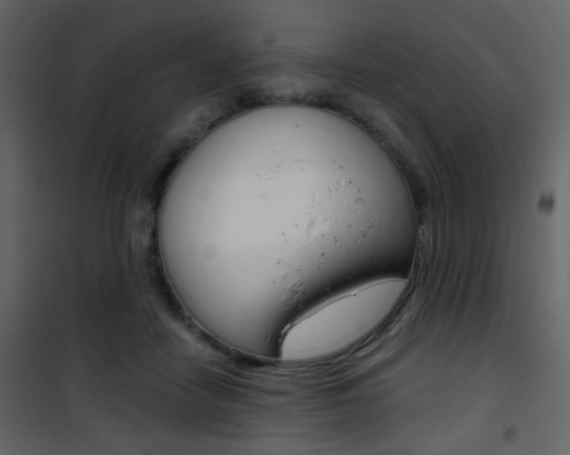 X0000101950458200807171137