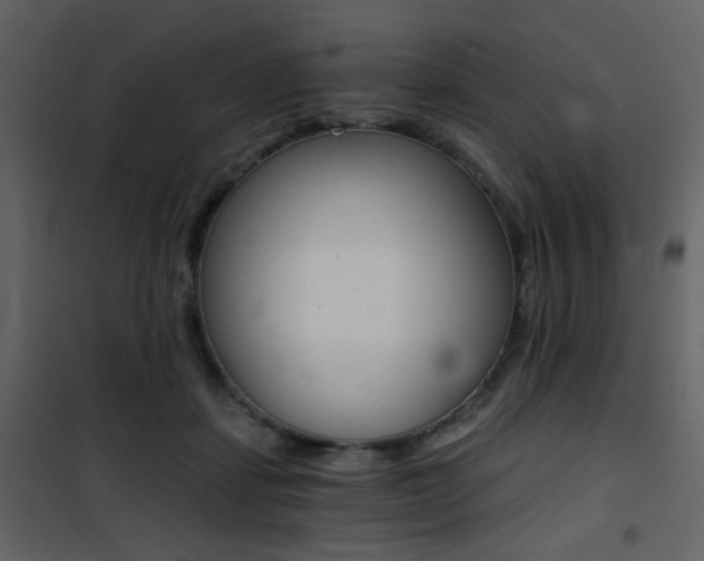 X0000101950459200807171137