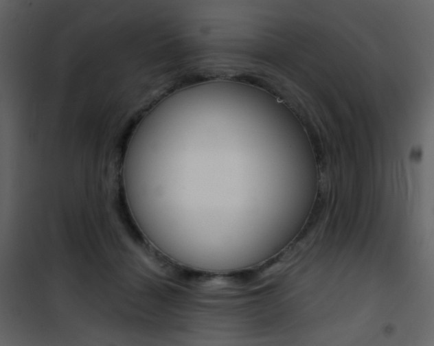 X0000101950460200807171137