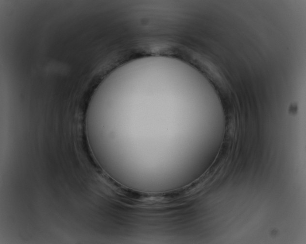 X0000101950461200807171137