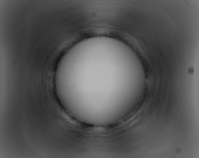 X0000101950462200807171137