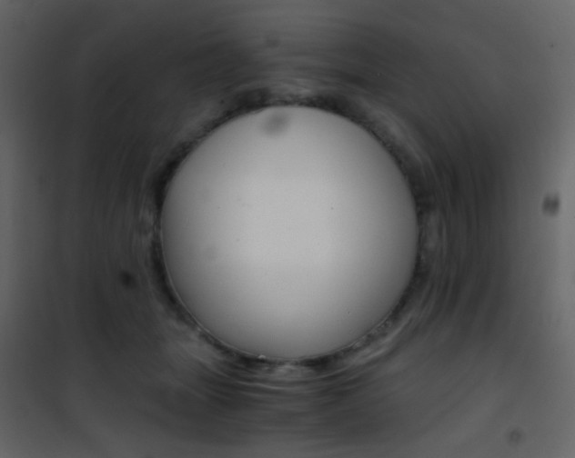 X0000101950463200807171137