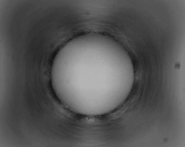 X0000101950464200807171137