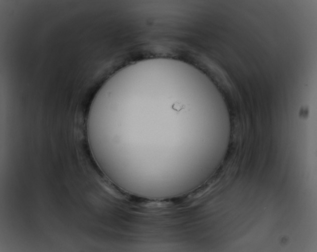 X0000101950465200807171137