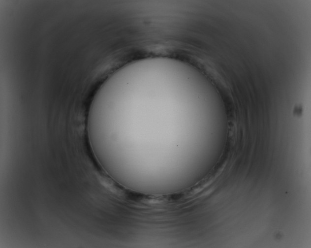 X0000101950466200807171137
