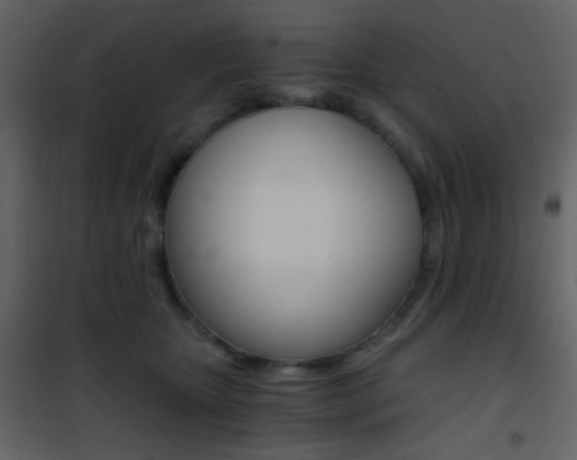X0000101950467200807171137