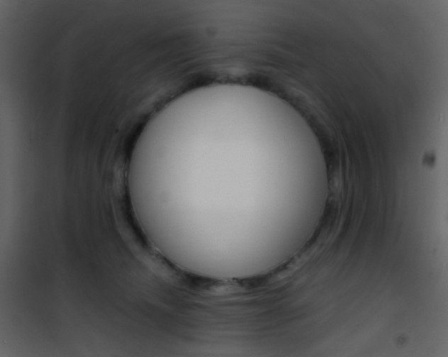X0000101950468200807171137