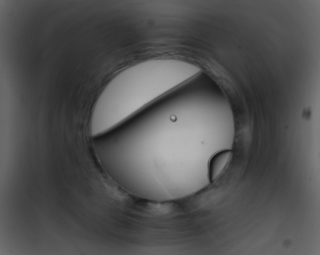 X0000101950469200807171137