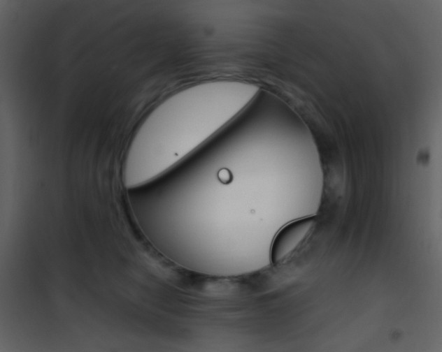 X0000101950470200807171137