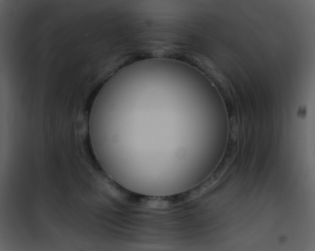 X0000101950471200807171137