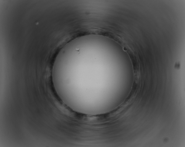X0000101950472200807171137