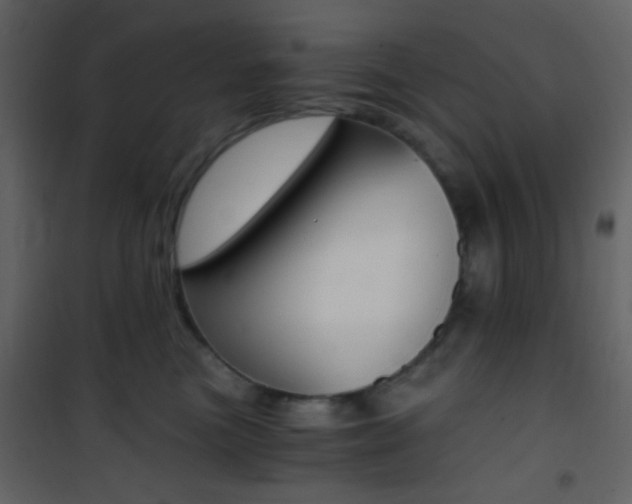 X0000101950473200807171137