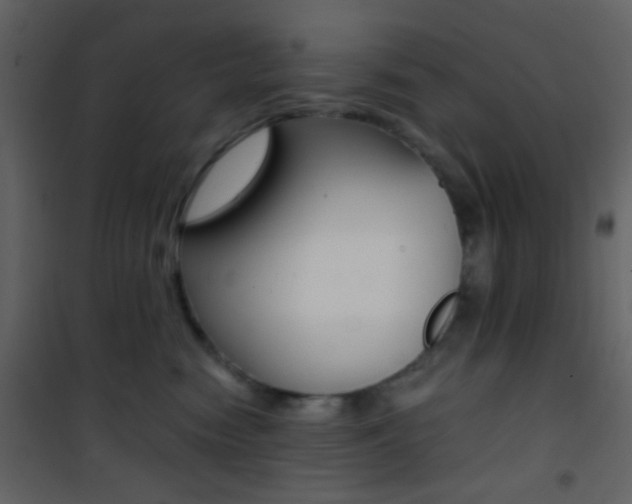 X0000101950474200807171137