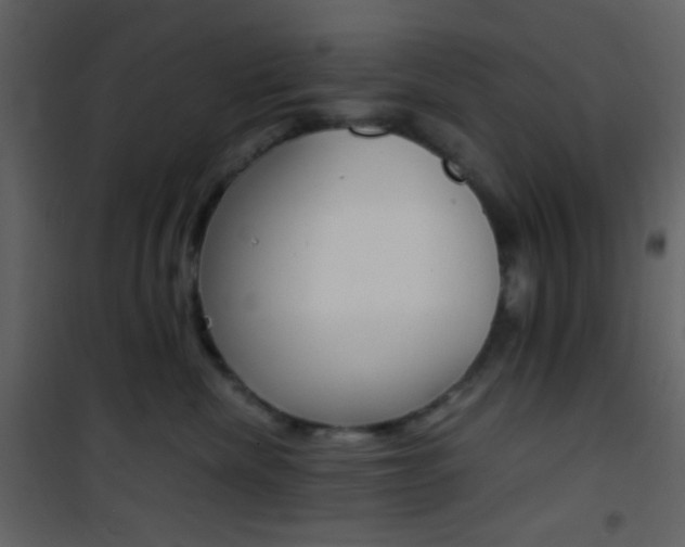 X0000101950476200807171137