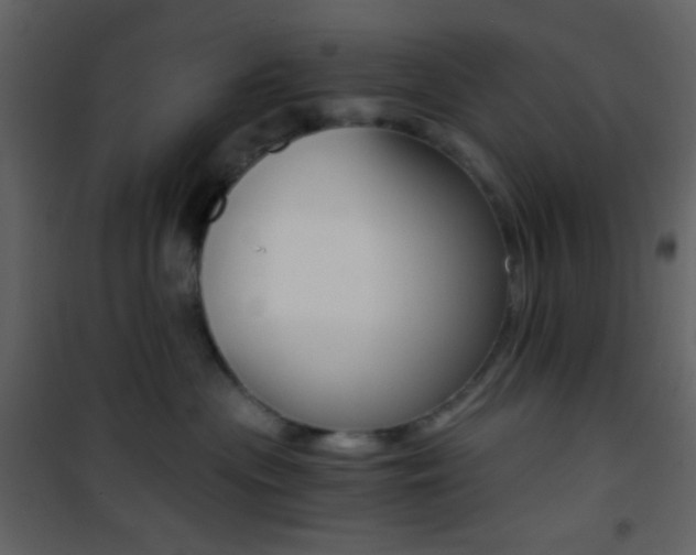 X0000101950477200807171137