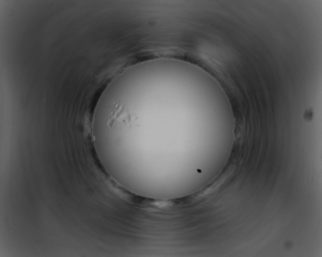 X0000101950478200807171137