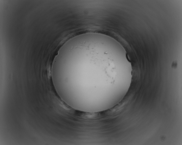 X0000101950479200807171137