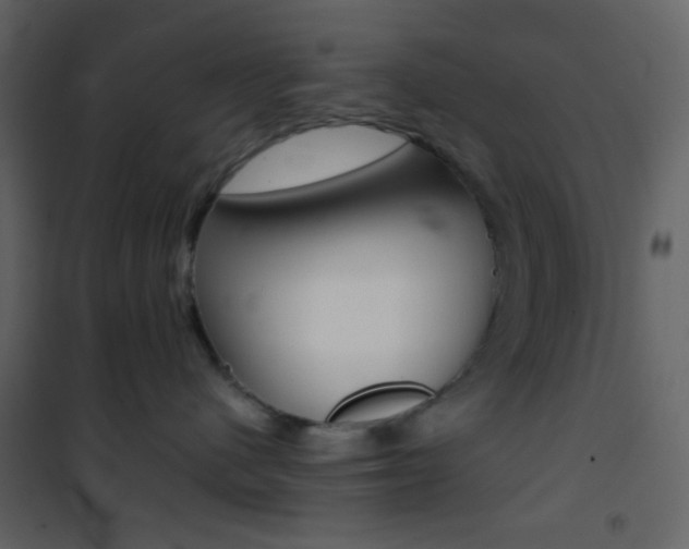 X0000101950480200807171137