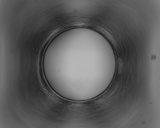 X0000101950482200807171136