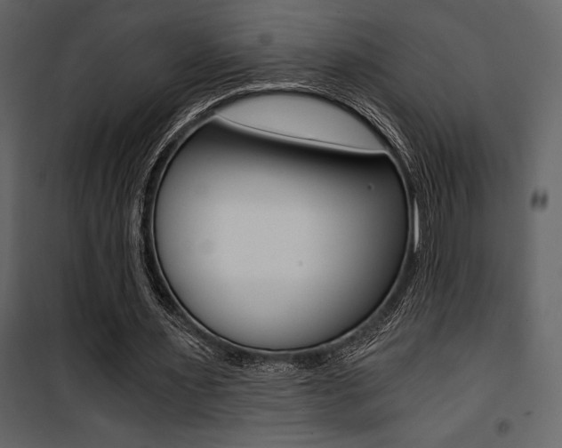 X0000101950483200807171136